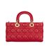 Medium Lady D-Joy Bag, back view